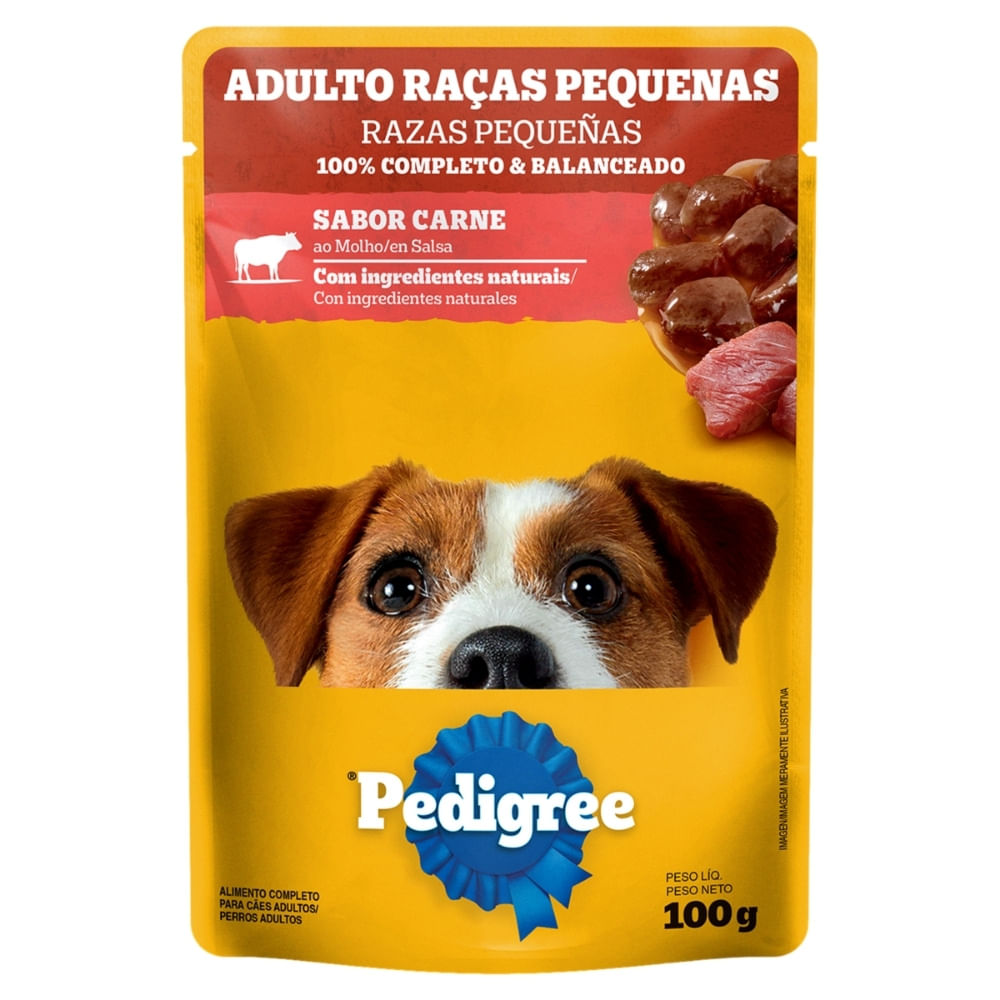 Alimento Cao Pedigree 100g Adulto Carne E Molho